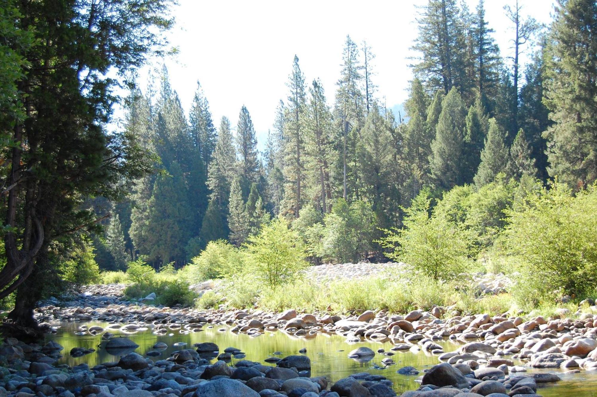 Holiday home Yosemite's Riverfront Retreat Wawona